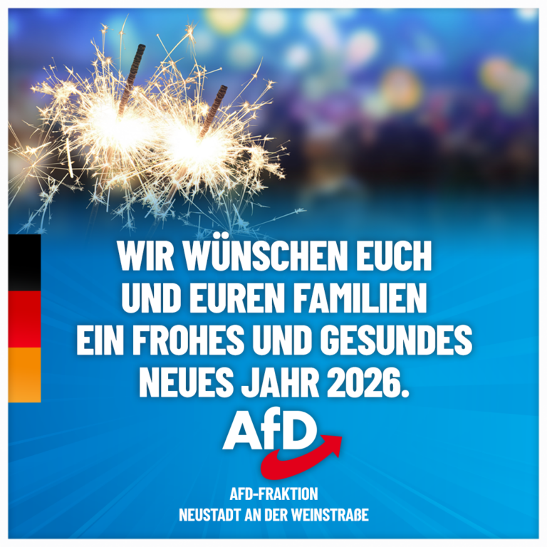 Jahresrückblick der AfD-Fraktion im Stadtrat Neustadt an der Weinstraße